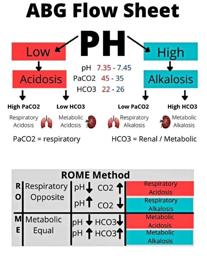 ABG Flow Sheet