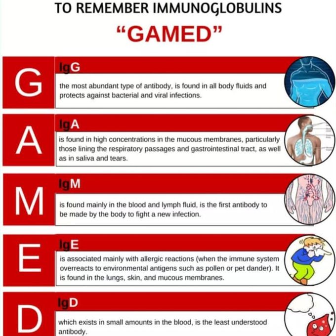 IMMUNOGLOBULIN'S