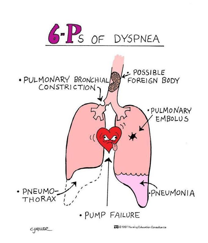 Dyspnea Medizzy 