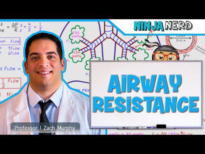 Respiratory Airways -
Pressure, Resistance and Gas Flow