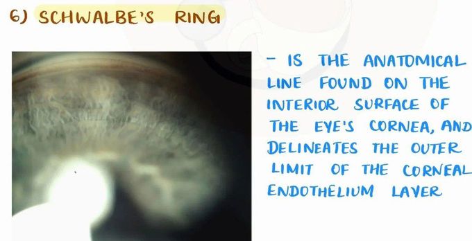 Schwalbe's Ring
