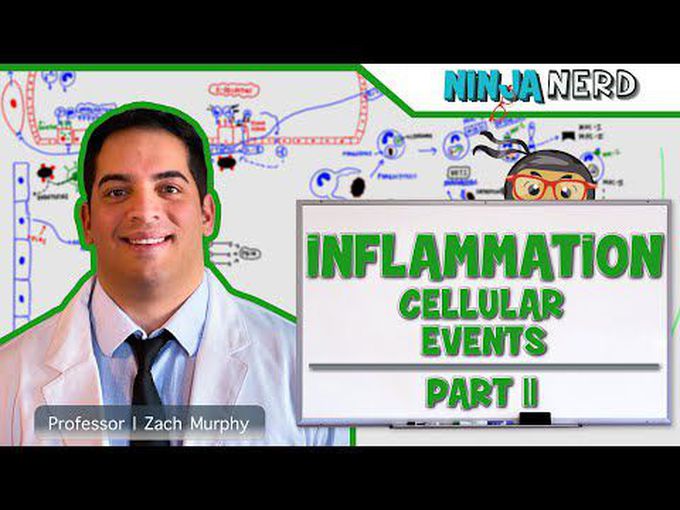 Inflammation: Phagocytosis and cellular events