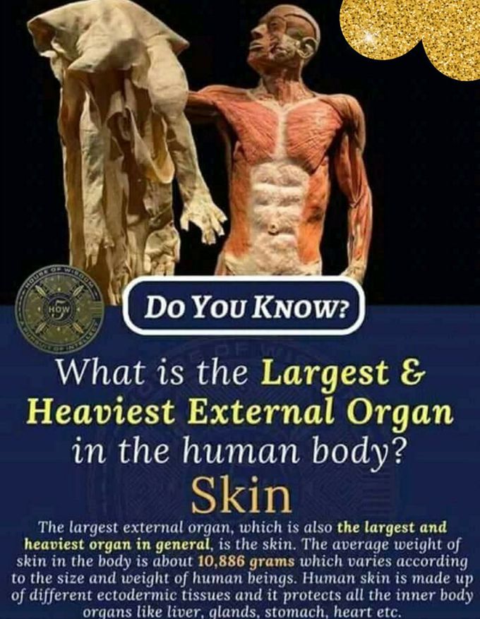 Skin fact....☺️