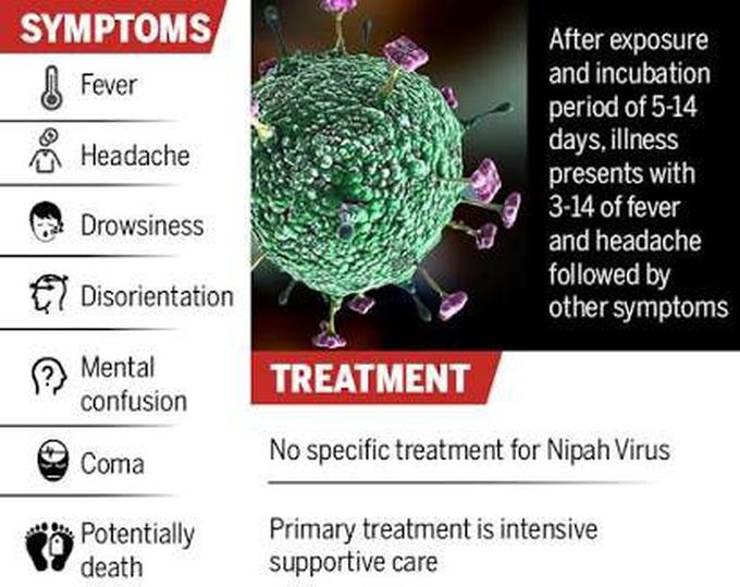 Nipah virus