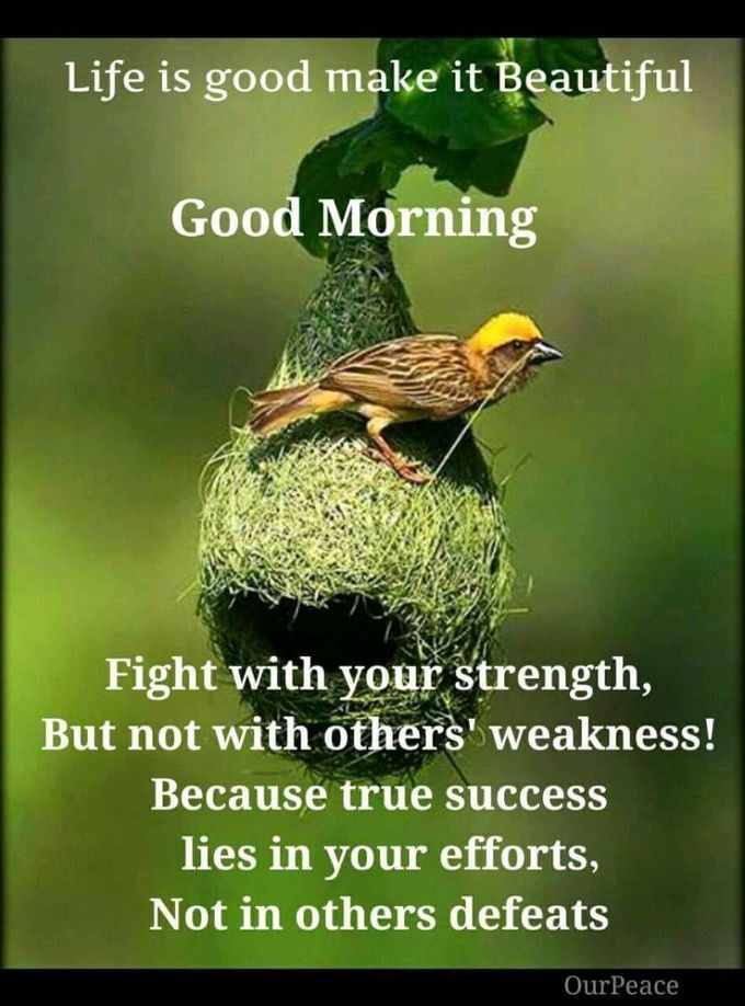 Awesome lines..