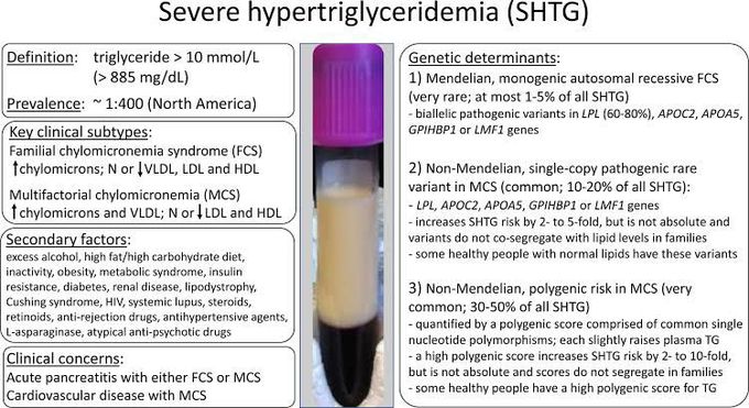 Causes of hypertriglyceridemia