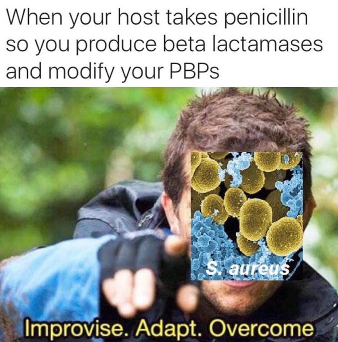 🤣🤣