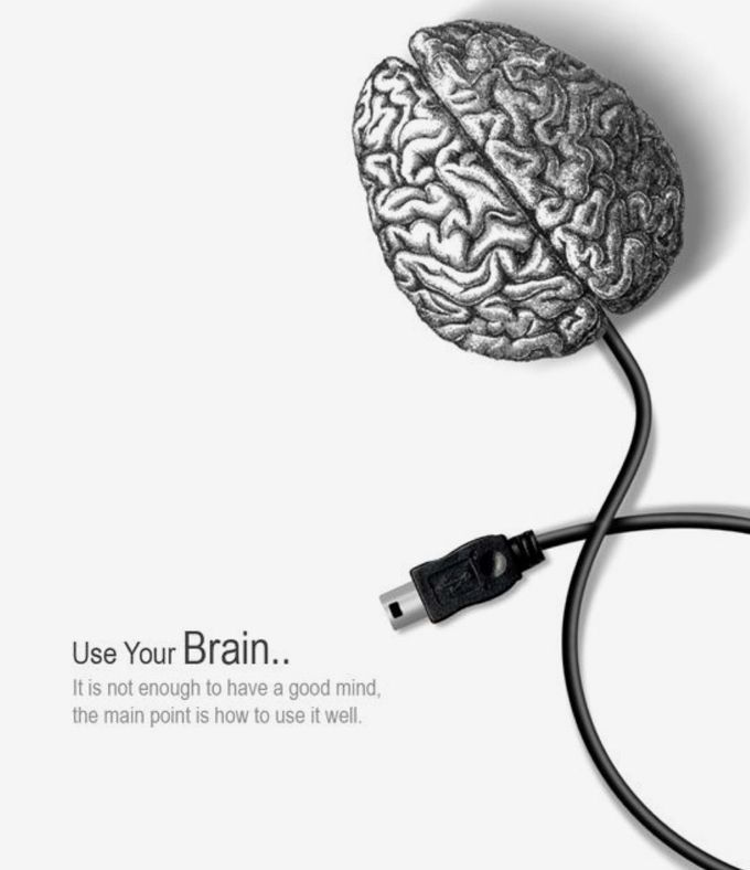 use-your-brain-it-is-not-enough-to-have-a-good-mind-the-medizzy