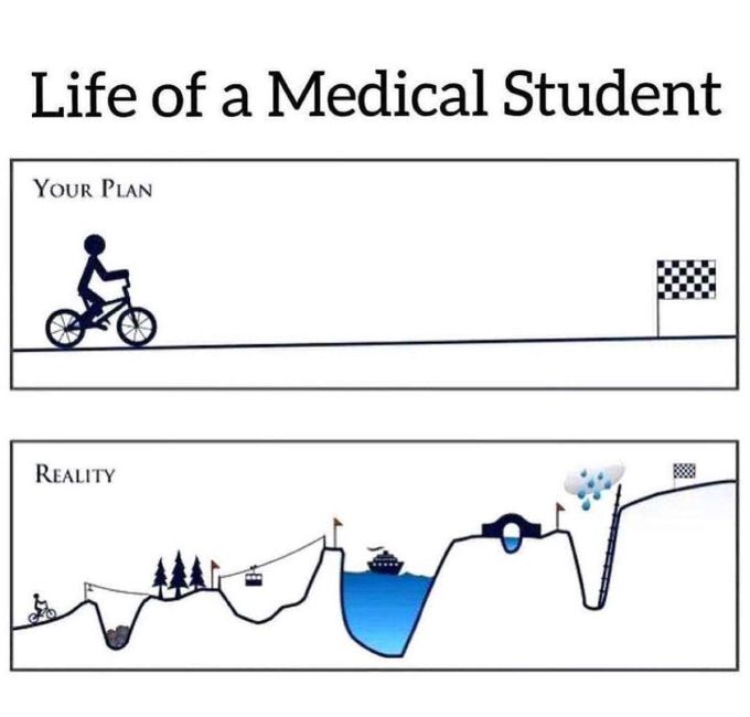 Life of a medical student