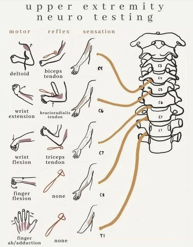 Upper Extremity Neuro-testing