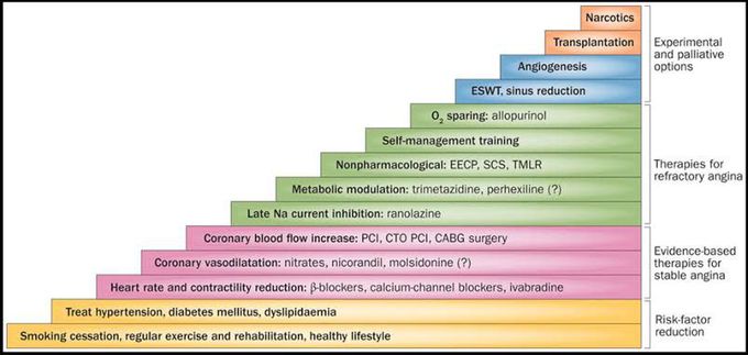 Treatment of angina