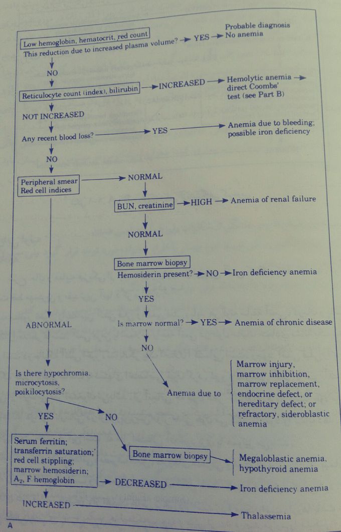 Labratory RX anemia