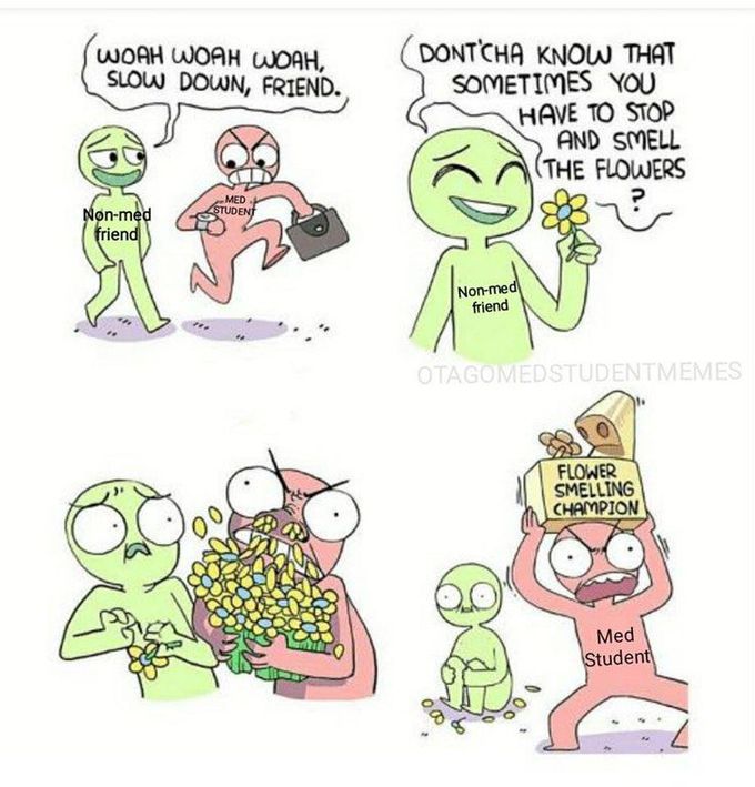 This meme accurately potrays 99% of Pre-Meds