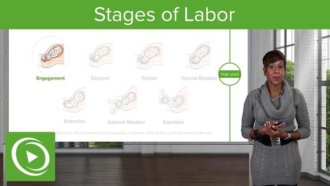 Stages of Labor: Stages 1, 2 & 3 of Normal Labor