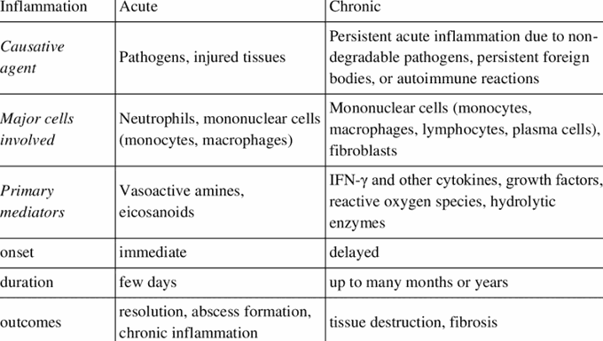 Acute Vs chronic Inflammation