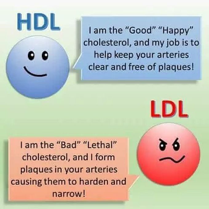 HDL or LDL 😊