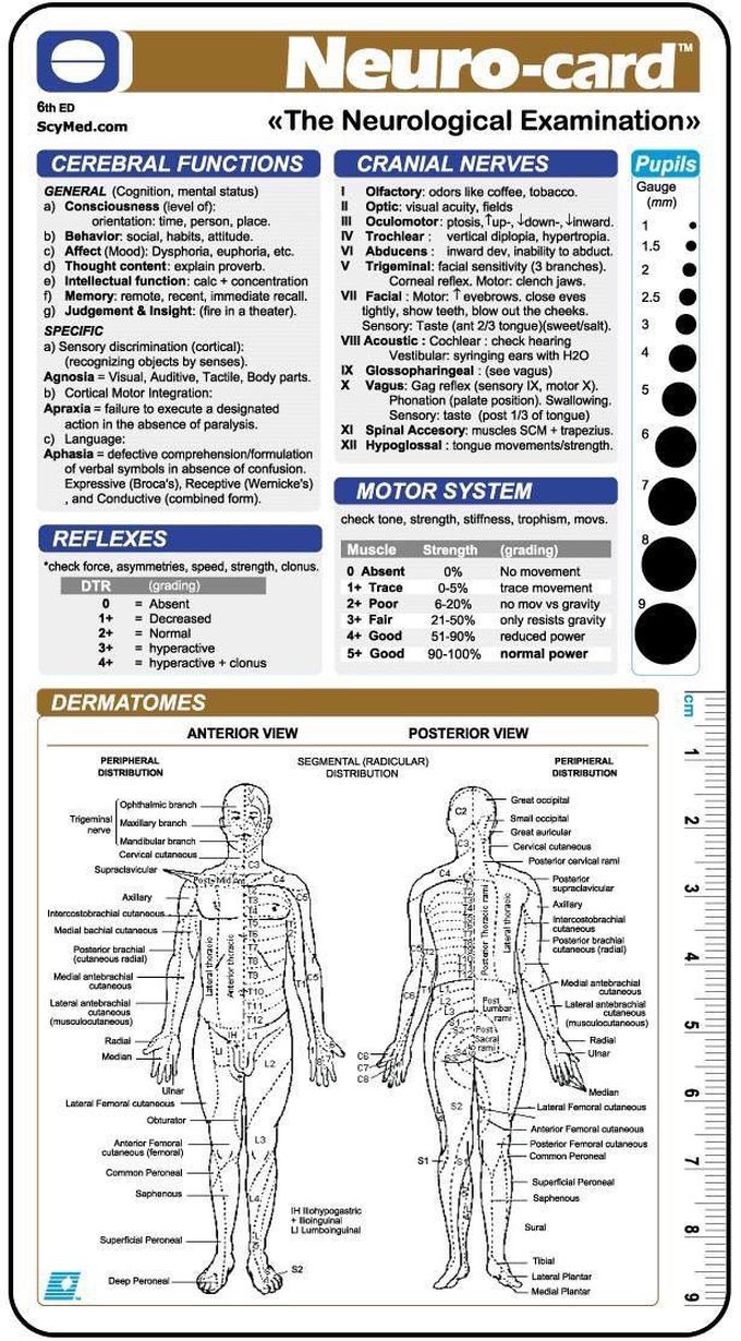 The Neurological Examination