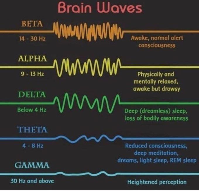 Brain Waves