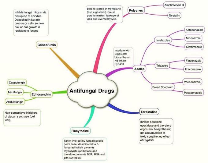 Antifungal drug