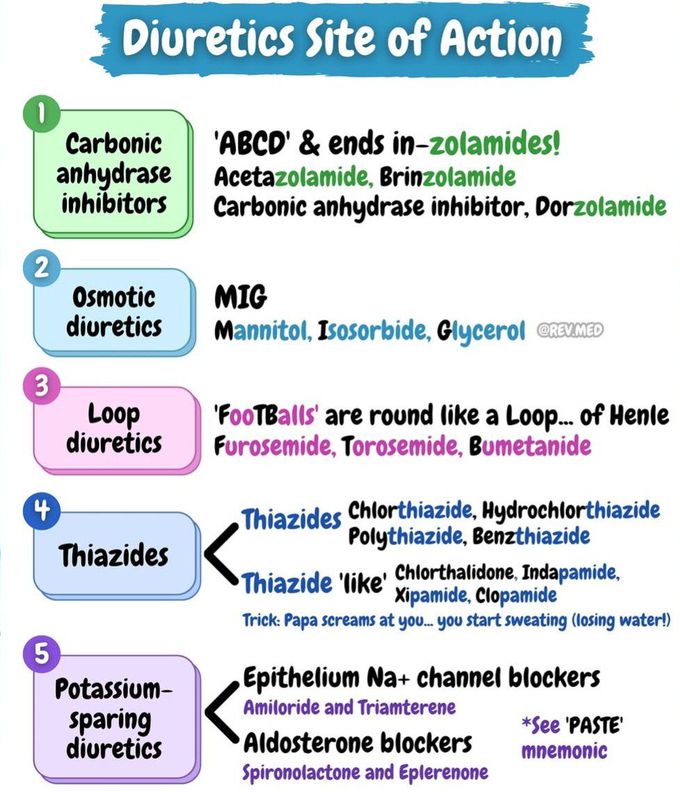 Diuretics Site of Action III