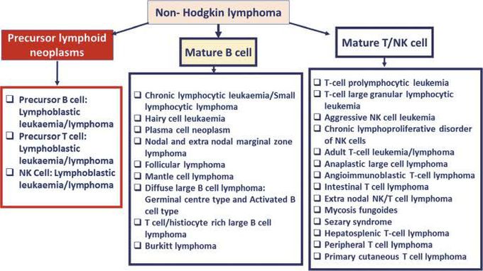 Non-hodgkin Lymphoma Classification