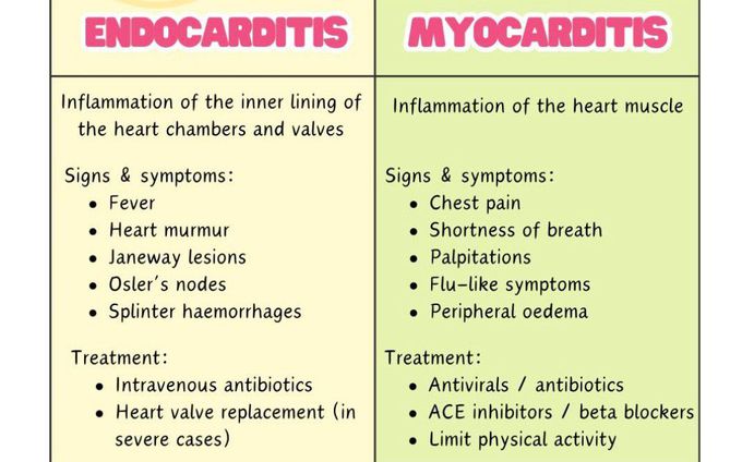 Endocarditis Vs Myocarditis