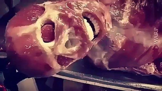 Human body with no skin