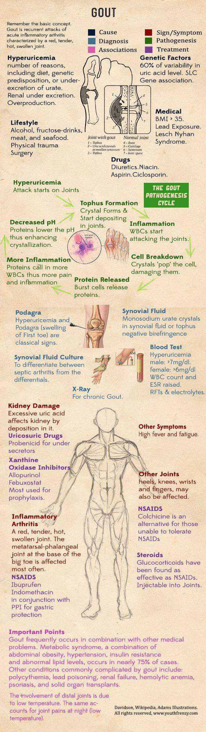 Doctor's Daily Cases