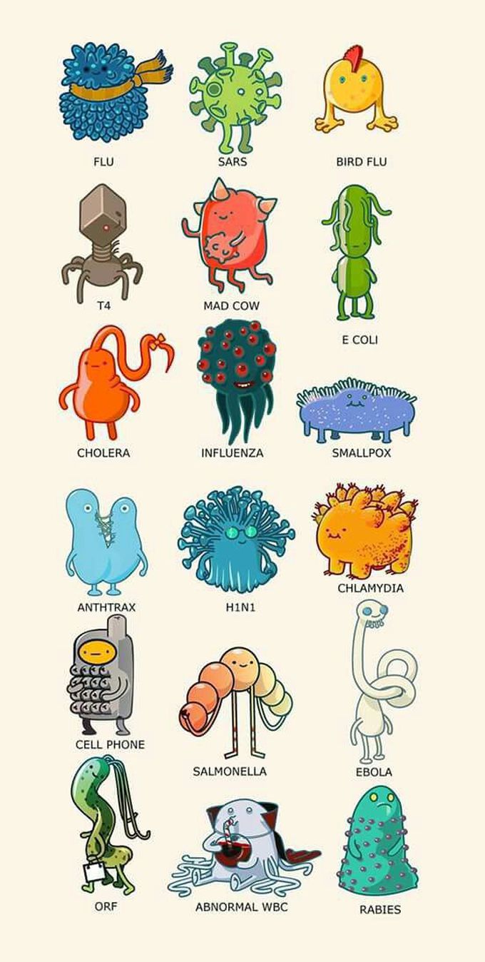 Stay Safe From All Of These Creatures And from Corona As well🙏