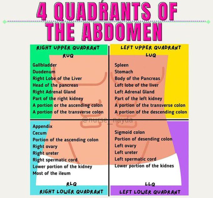 Quadrants of the Abdomen