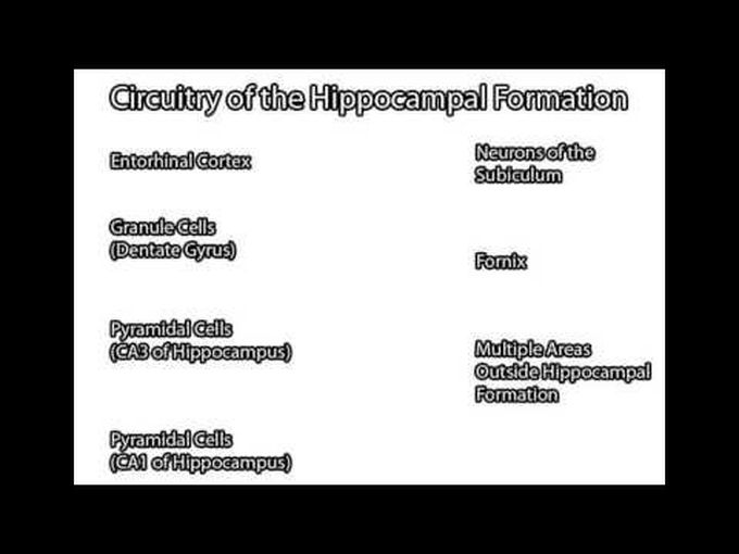 Structure and Circuitry of Hippocampal Formation