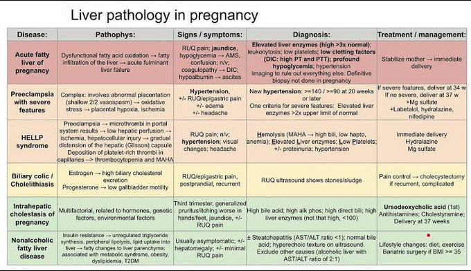 Liver Pathology in Pregnancy