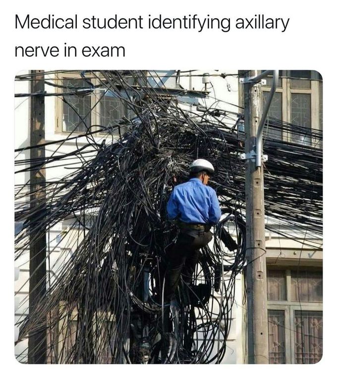 From insta 😂