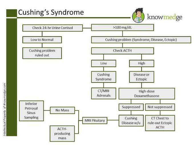Cushing Syndrome Diagnosis