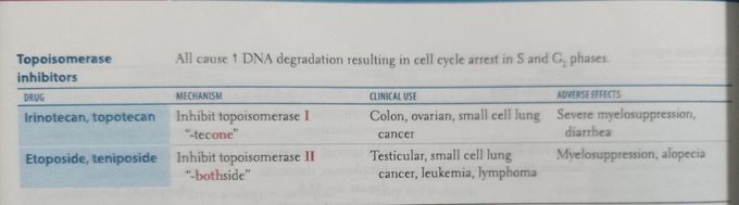 Topoisomerase inhibitor