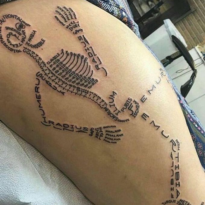 Skeletal