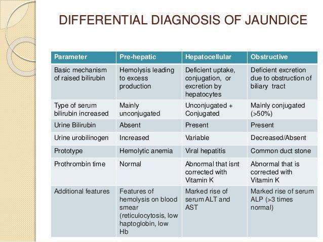 Differential Diagnosis Of Jaundice Medizzy