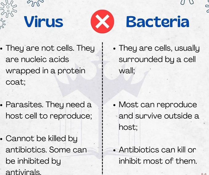 Virus Vs Bacteria