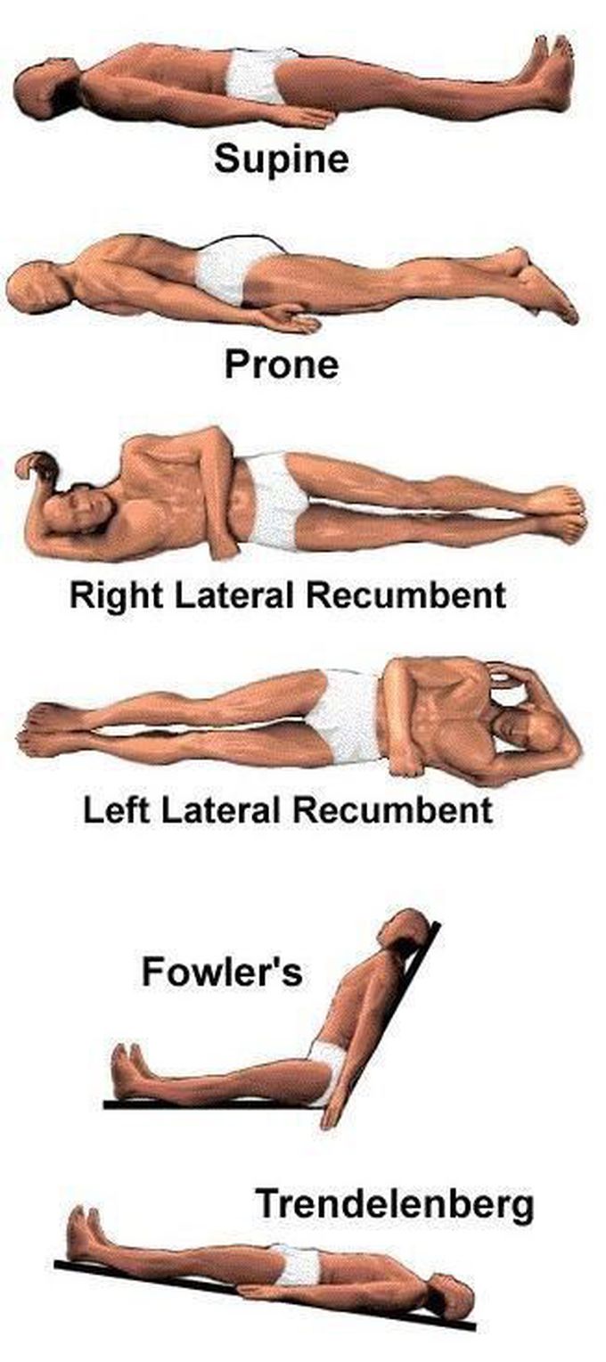 Types Of Abdominal Exercises