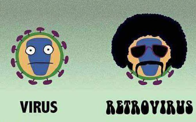 Crazy virus xD
