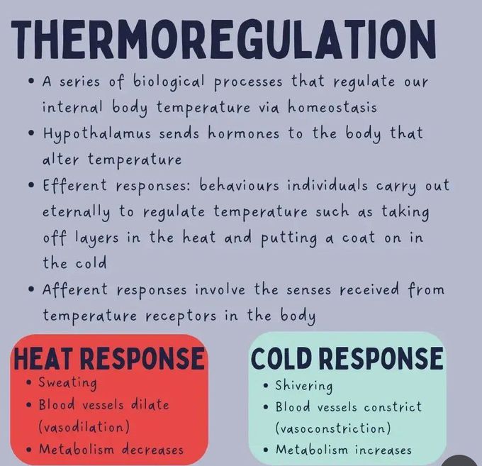 Temperature II