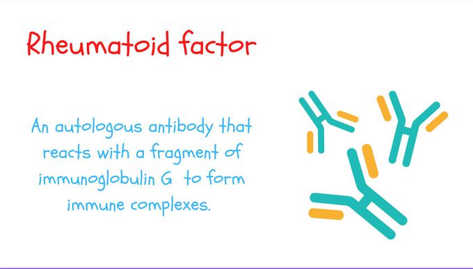 Rheumatoid factor