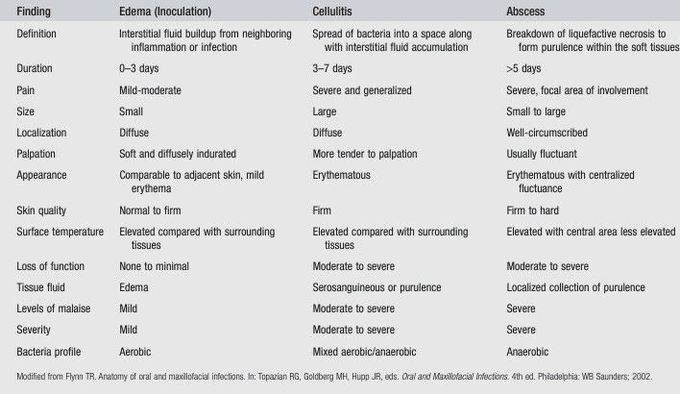 Stages in infection