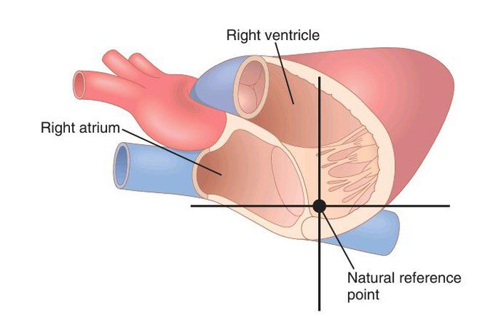 Circulatory pressure