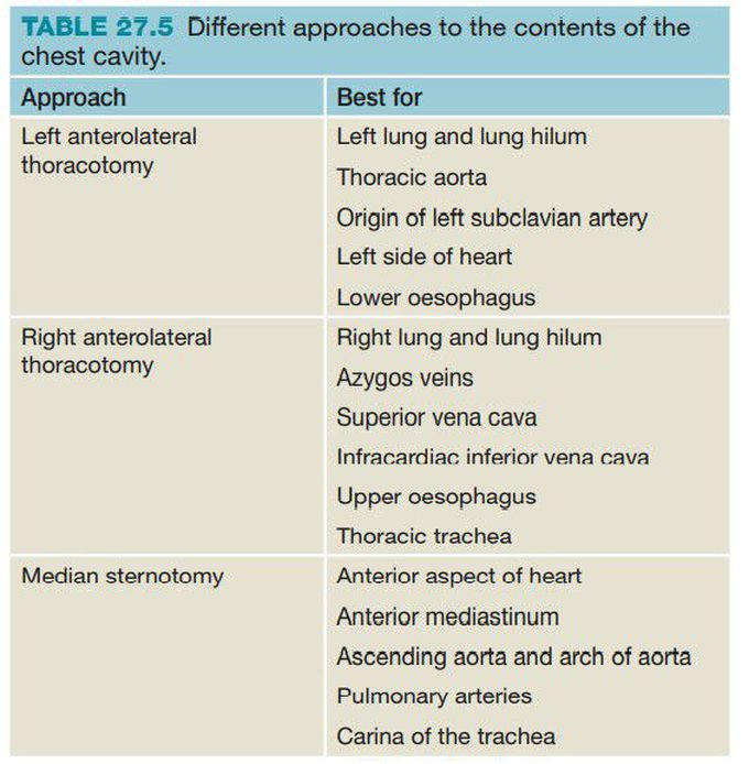 Surgical Approaches to Chest Cavity