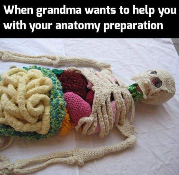 What a lovely help😂😂!!!