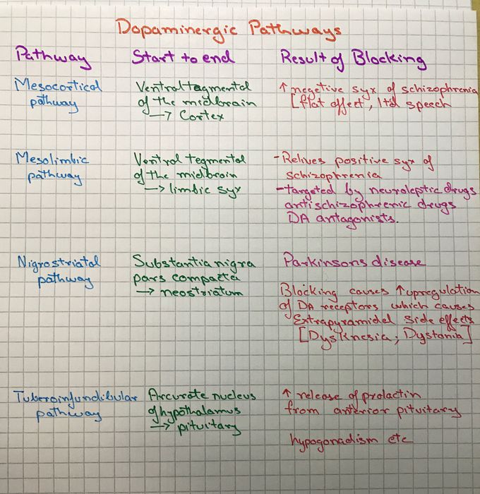 Dopaminergic Pathways and result of Blocking them - MEDizzy