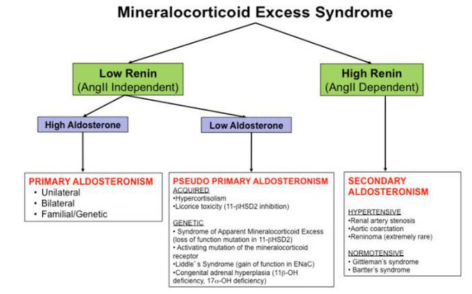 Mineralocorticoid Excess Syndrome