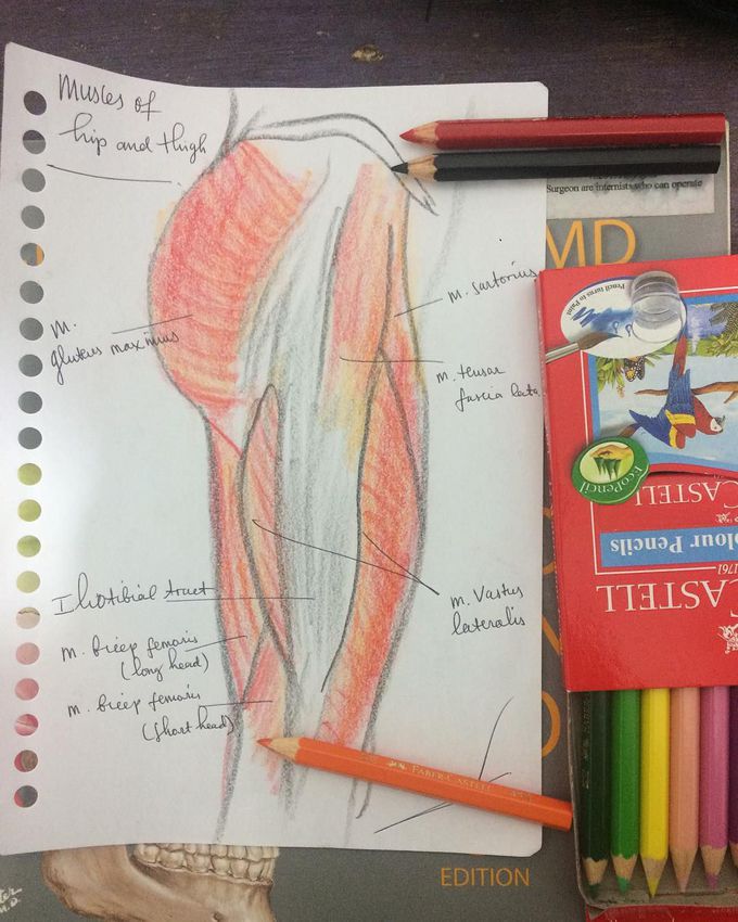 When you almost completing your residency but your teacher still want you to draw anatomy...
