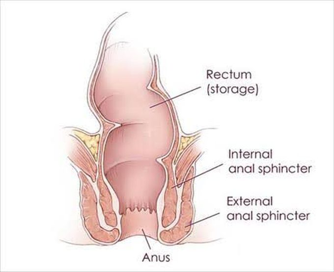 Cause of bowel incontinence